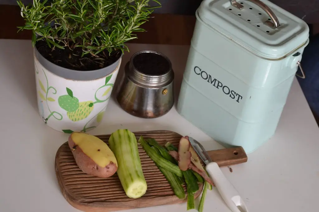 coffee grounds in compost for tomato plants